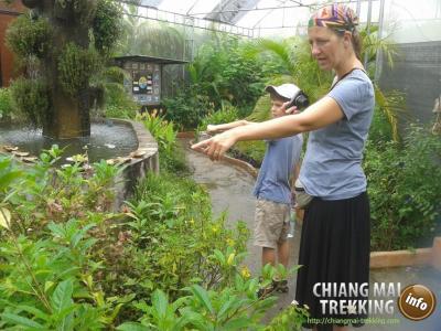 Tiger Kingdom, Orchid & Butterfly Farm | Chiang Mai Trekking | Das beste Trekking in Chiang Mai mit Piroon Nantaya